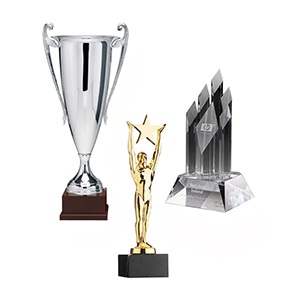 Awards & Trofeeën bedrukken met logo