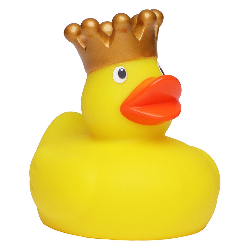 Piepende eendenkoning - veelkleurig