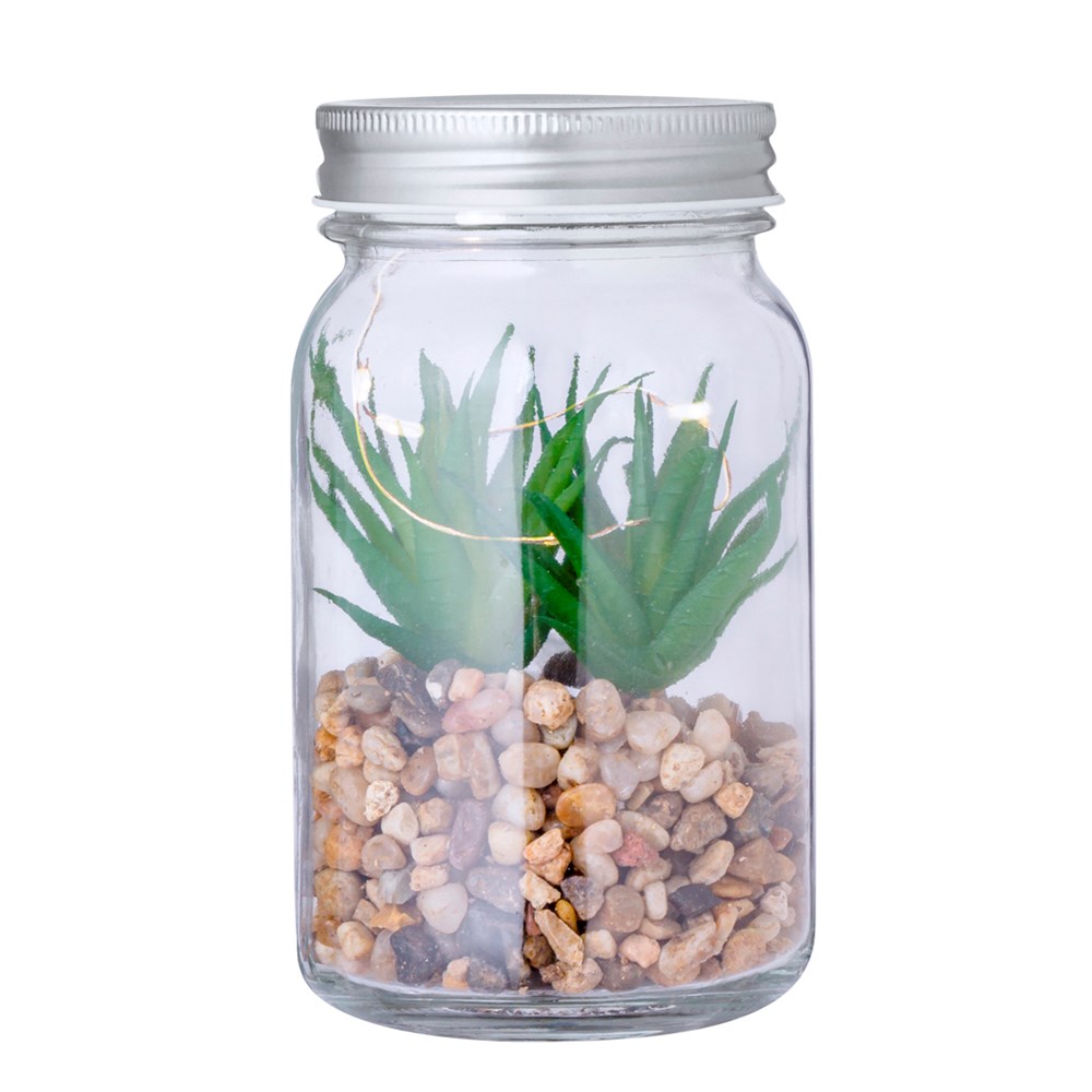 Decoratieve Plant Kyala