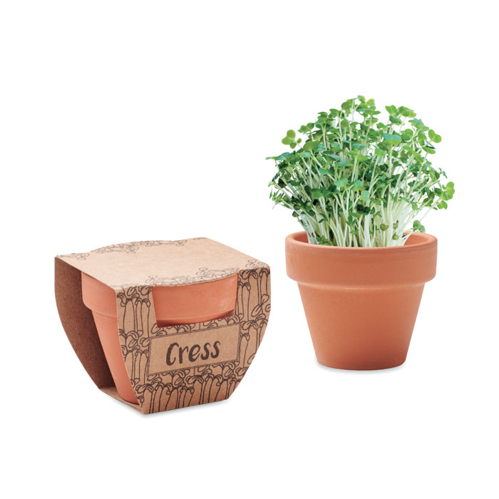 CRESS POT - Potje tuinkers