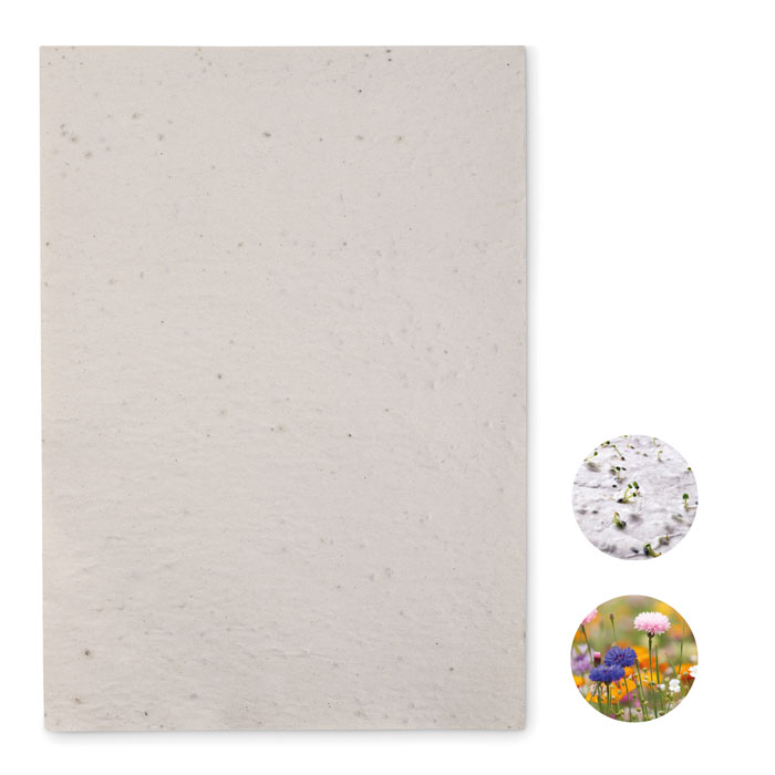 ASIDI - A4 zaadpapier wilde bloemen