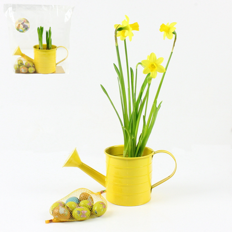 Lente Paasverrassing