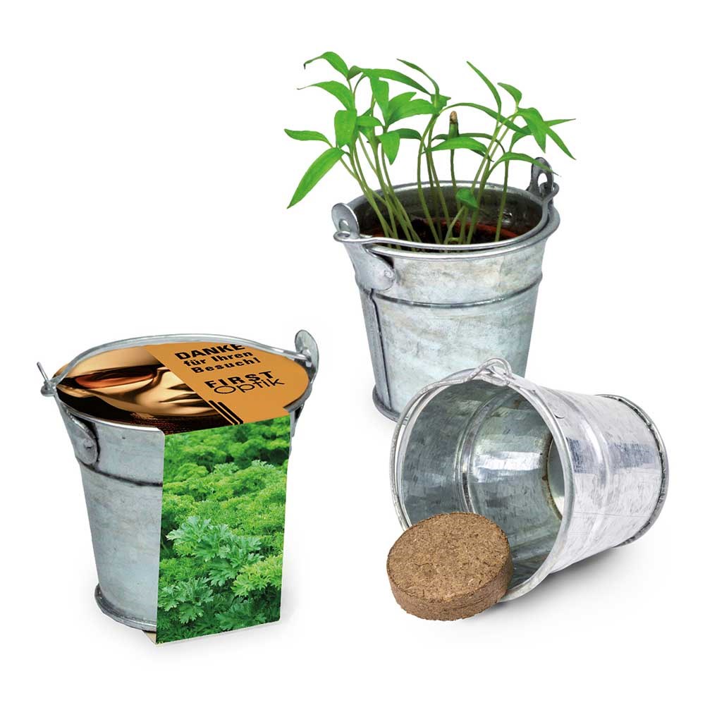 Plant emmertje met zaden - Peterselie