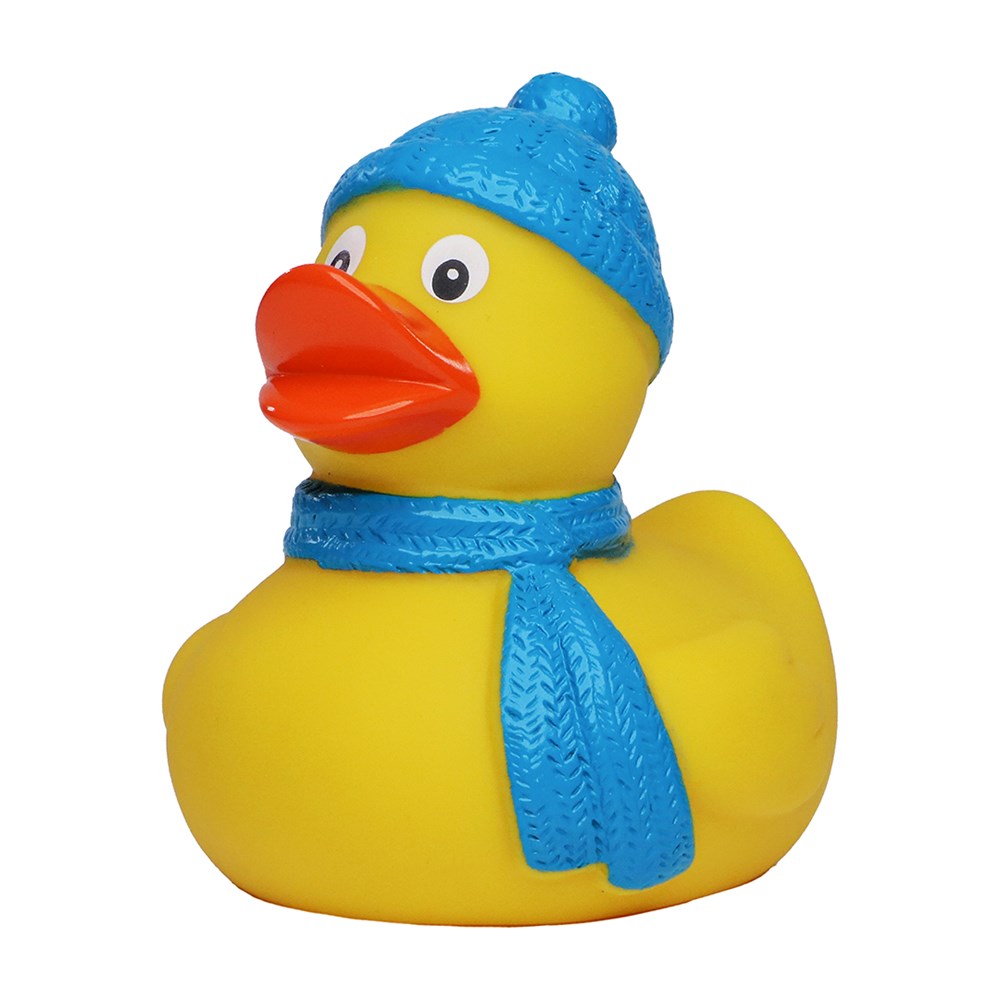 Piepende eend winter - veelkleurig