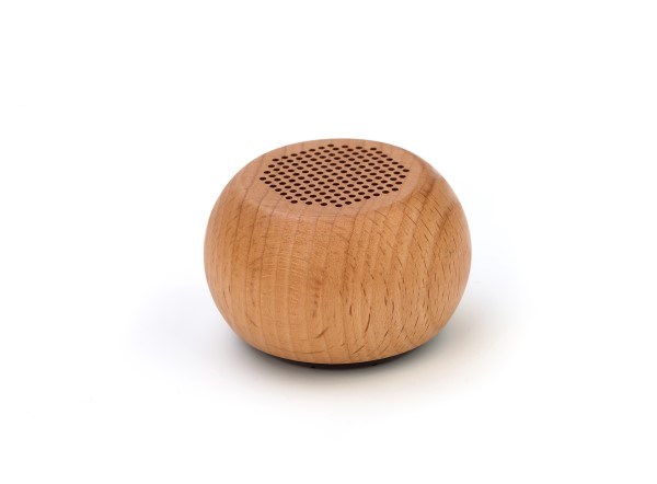 Bluetooth speaker hout