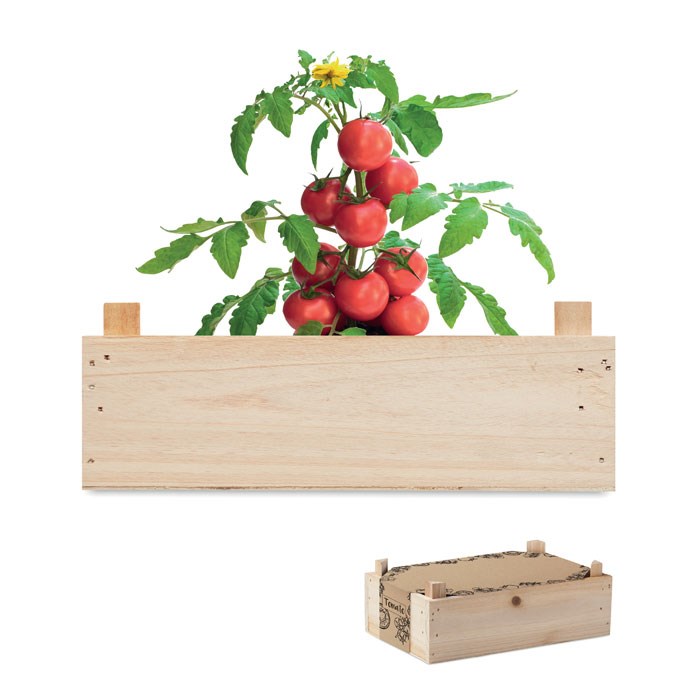 TOMATO - Tomatenkweekset  houten kratje