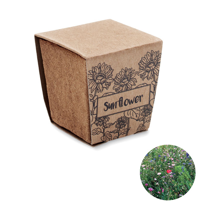 SUNFLOWER KIT - Zonnebloem kweekset
