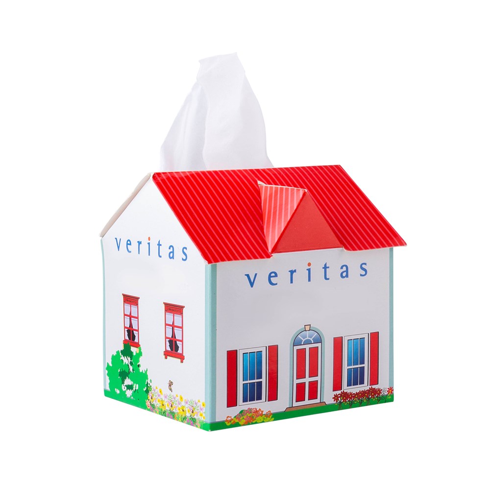Tissue box huis