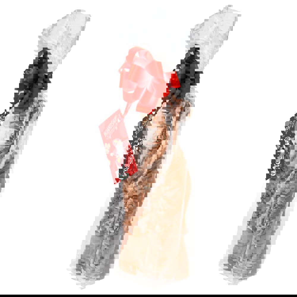 Sinterklaas chocoladepop