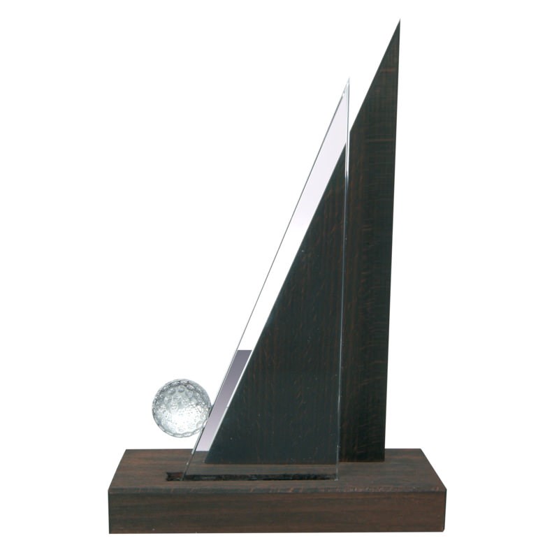 Houten award met modern design